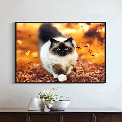 $12.97 • Buy DIY Diamond Painting Kits Walking Cat Full Square Drill Wall Art (20X30CM)
