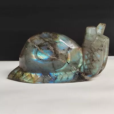 Natural Crystal Labrador Mineral Raw Stone Handmade Sculpture Snail • $3.99