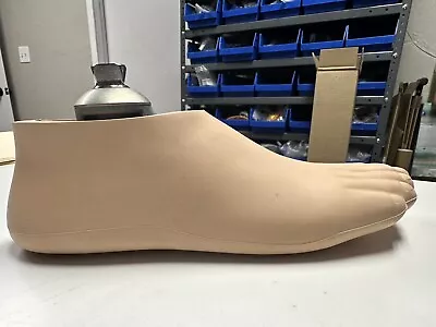 Prosthetic Foot - RIGHT Size 25 • $175.99