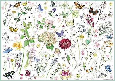 Otter House Flowers & Butterflies By Madeleine Floyd 1000 Piece Jigsaw • £15.99