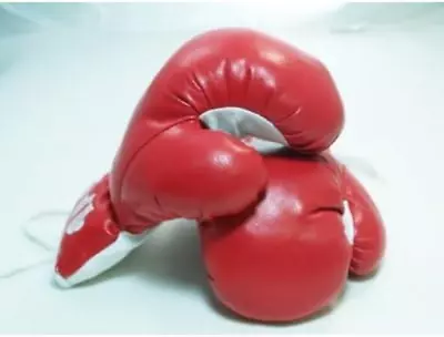 New 1 Pair Of Youth Red 6Oz Boxing Gloves For Kids • $19.92