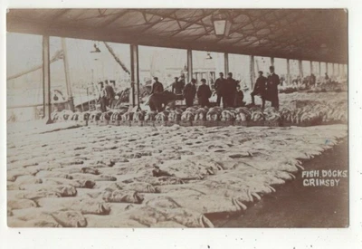 £4.71 • Buy Fish Docks Grimsby Lincolnshire Fishing 1905/1910 Vintage RP Postcard 555c