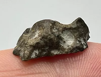 AMGALA 001 (1.521g) Martian Shergottite Meteorite End Cut IMCA #s 6236 & 7294 • $112