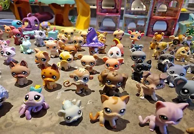 £426.89 • Buy Littlest Pet Shop 162 Pets Short Hair Cat Dog Authentic Lps Accessories 174