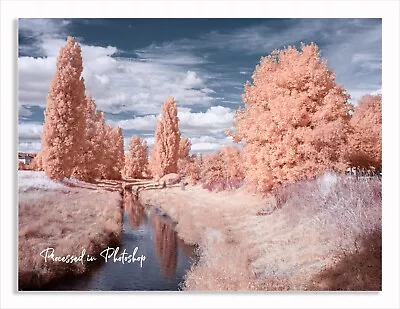 £269 • Buy Converted Infrared IR 550nm Panasonic Lumix G1  M43 12MP Camera 14-42 Lens 849