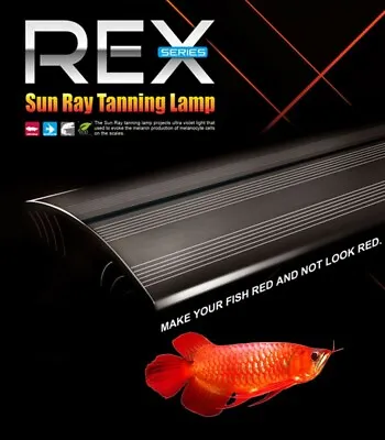 Dymax Rex Sun Ray Tanning Lamp 120cm LED Light Aquarium Fish Tank Saltwater • $344.99