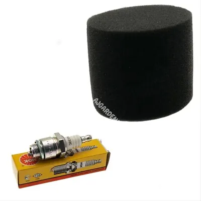 Air Filter Spark Plug Kit For QUALCAST 35S 43S TECUMSEH AV LAV Engine Lawnmower • £12.99