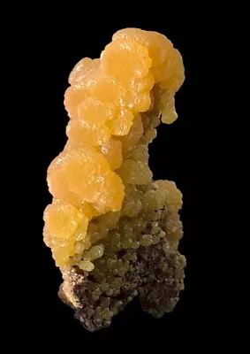 Sweet Desirable Botryoidal MIMETITE San Pedro Mine Mexico • $22.50