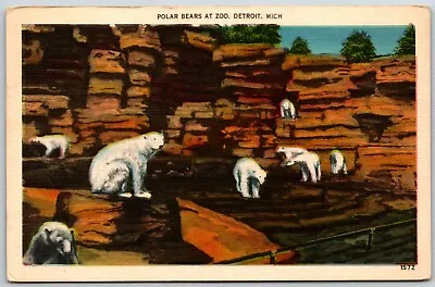 $7.96 • Buy Polar Bears At Detroit Zoo, Michigan - Postcard