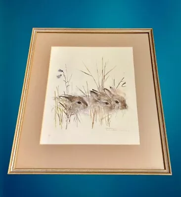 MADS STAGE (Denmark) Illustration Baby Bunny Rabbit Framed Matted Litho 1976 • $36