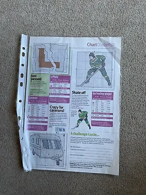 Just Passed Skate Off & Caravan Cross Stitch Magazine Chart • £1.50