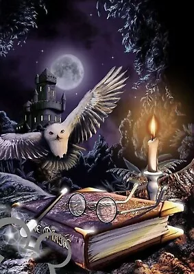 £4 • Buy Disney Harry Potter Art Print A4, Poster, Picture, Nursery, Gift,