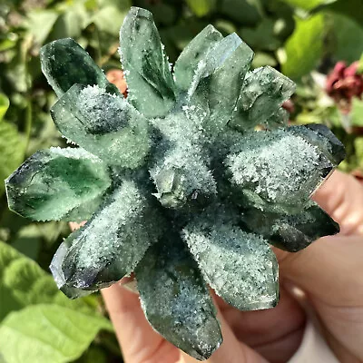 379G Natural Beautiful Green Phantom Quartz Crystal Cluster Mineral Specimen • $0.99