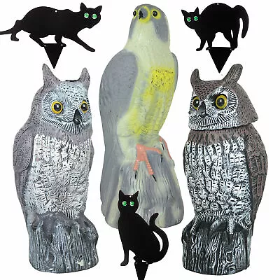 Owl Falcon Cat Decoy Prey Bird Repellent Garden Ornaments Pest Control Deterrent • £119.99