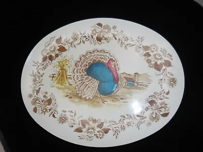 Vintage Royal Nottingham Melmac Oval Serving Tray Turkey Platter • $16.99