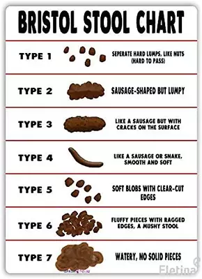 Bristol Stool Chart Metal Sign Poop Toilet Health Bathroom Indoor And Outdoor • $13.23