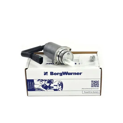 BorgWarner Hydraulic Pump DS118574 For Audi Seat Skoda VW • $154.26