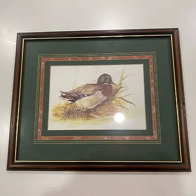 Vintage Joel Kirk Wildlife Duck Mallard Signed Print Painting In Frame • $49.99