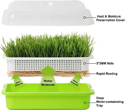 4 Sets Seed Sprouter Tray W/Lid Seedling Planting Germination For Garden Office • $27.25