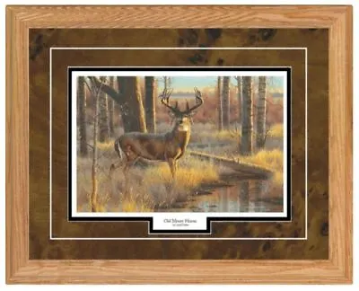 Cynthie Fisher OLD MOSSY HORNS Deer Buck Print-Framed 21 X 17 • $39.95