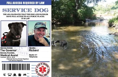 $10.59 • Buy Customized Service Animal Dog Id Emotional Card ESA With Handler QR Code Durable