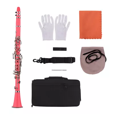 Bb Clarinet With Suitcase Woodwind 17 Key ABS Clarinet Various Colors Available • $183.35