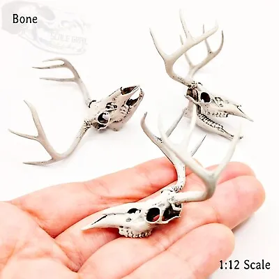 White Tail Deer Skull 1:12 Scale Artisan Diorama Dollhouse Miniature Models • $22