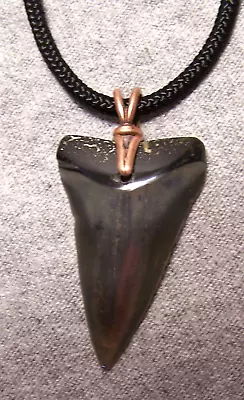 Mako Shark Tooth Fossil Teeth Necklace  1 11/16  Wireless Polished Megalodon Jaw • $35