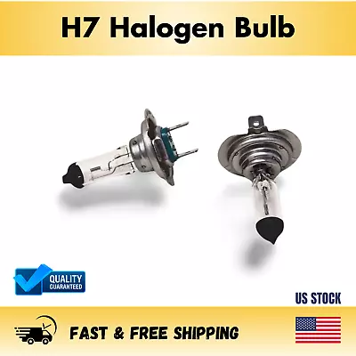 H7 Halogen Headlight Bulb Pair (2 Bulbs) • $7.49