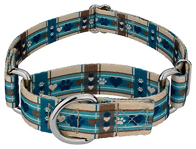 Country Brook Petz® Puppy Picnic Martingale Dog Collar • $12.97