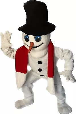Snow Mascot Costume Made By Mask Us • $1700