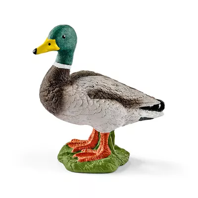 £5.34 • Buy Schleich 13824 Drake (World Of Nature - Farm Life) Plastic Figure