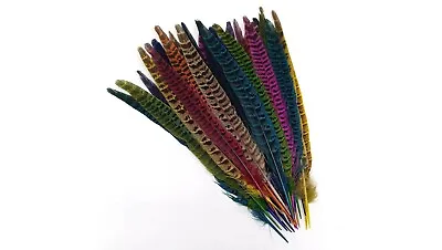 Natural Pheasant Tail Feathers Fly Craft Decorations Dyed Hat Art 25-30cm UK • £5.65