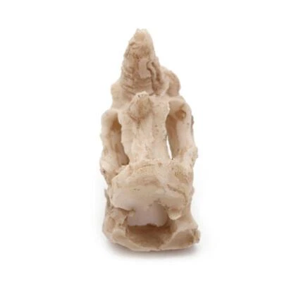 $6.95 • Buy Fish Tank Decorations Aquarium Animal Skull Small Cave Landscaping Accessories