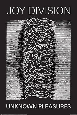 JOY DIVISION - UNKNOWN PLEASURES - MUSIC POSTER 24x36 - 5263 • $12.50