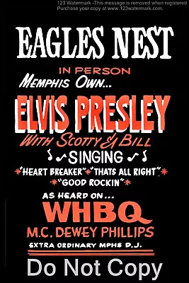 Elvis Presley Concert Poster 12 X18  • $12.95