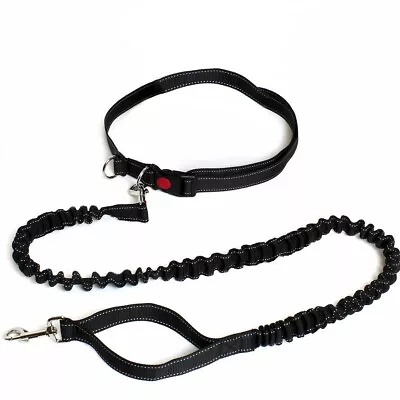 Hands Free Dog Walking Belt Pet Running Lead Waist Belt Jogging Hiking Coupler • £6.99