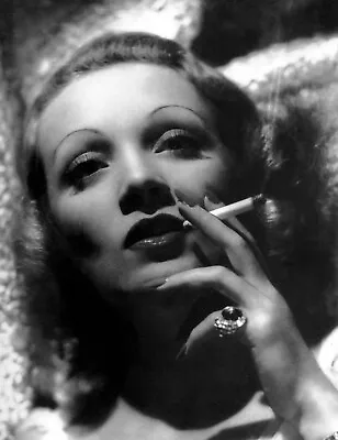 Marlene Dietrich 8x10 Glossy Photo Picture Image #11 • $3.99
