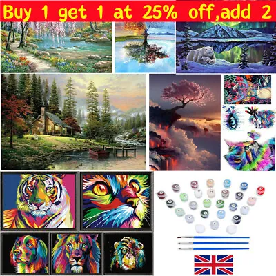 DIY Oil Painting Paint On Canvas By Numbers Kit For Adult Kid Beginner Frameless • £4.01