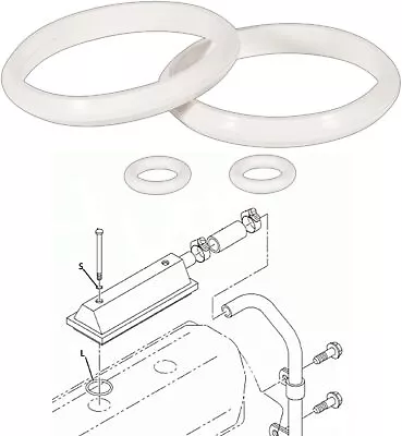 For Ford 7.3L Powerstroke Diesel Crankcase CCV Breather O-Ring Vent Valve Seals • $8.55