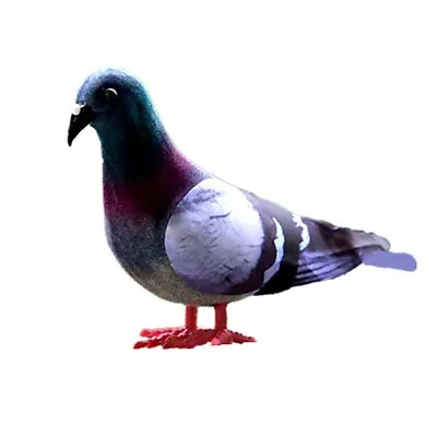 £4.03 • Buy Realistic Pigeon Artificial Doves Simulation Feathered Foam Fake Bird Home Decor