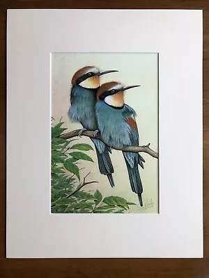 £25 • Buy ‘Bee-eaters’ Eric Peake MBE Artist Signed Print 14”x11” Overall Mount