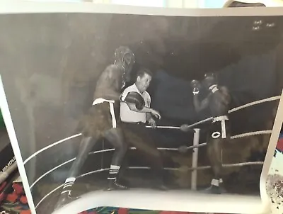 Vintage Black And White Amateur Boys Golden Gloves Boxing Photo 8X 10 Cincinnati • $20