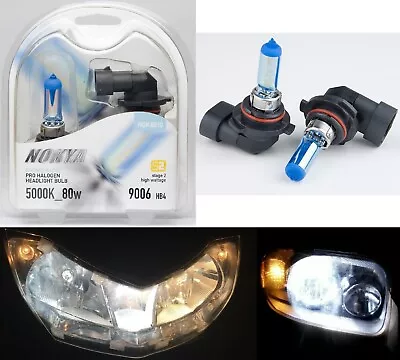 Nokya 5000K White 9006 HB4 Nok8010 80W Two Bulbs Head Light Stock Replace Lamp • $24.70