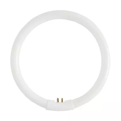 22W Circular Fluorescent T5 Tube G10q 4-pin 184mm Warm White 2700K • £13.84