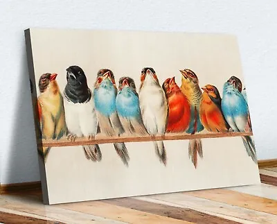 Vintage Birds On A Perch Canvas Wall Art Print Artwork Home Decor Deep Framed • £14.99