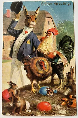 Antique Easter Postcard Anthropomorph Bunny Rabbit Top Hat With Hen Colored Eggs • $9.99