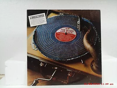 The Blues Are Back-(lp)-various Blues Artists - Sedgefield Jeans Promotion- 1976 • $21.99