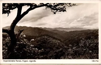 Postcard Uganda Impenetrable Forest Kigezi RPPC UNP • £14.41