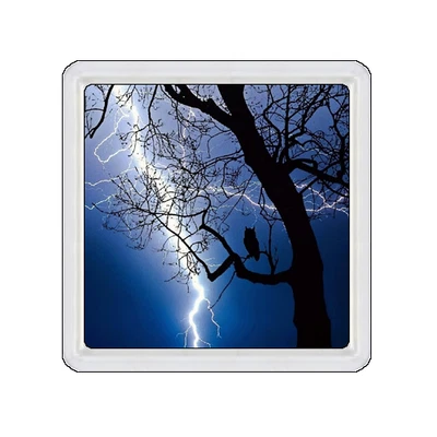 £3.99 • Buy Tree Owl Storm Coaster Cup Mat Acrylic Novelty Gift